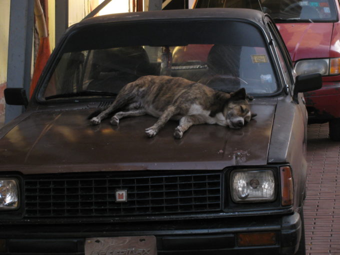 sleeping on a car