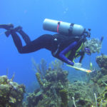Surveying_CARICOMP_transects