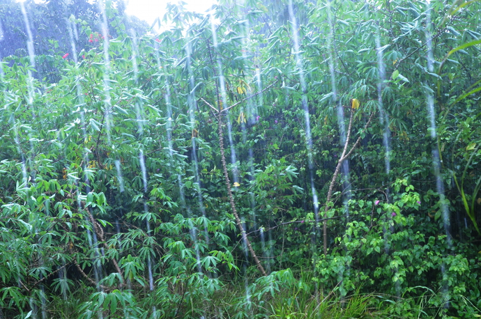 rain in Cocle