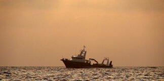 trawler on a golden sea
