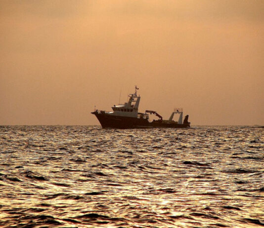 trawler on a golden sea
